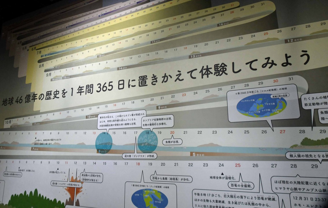 これは圧巻です・・・これがクリアファイルとしてお土産に最適