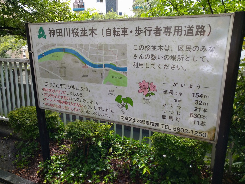 公園と隣接する”神田川桜並木遊歩道”