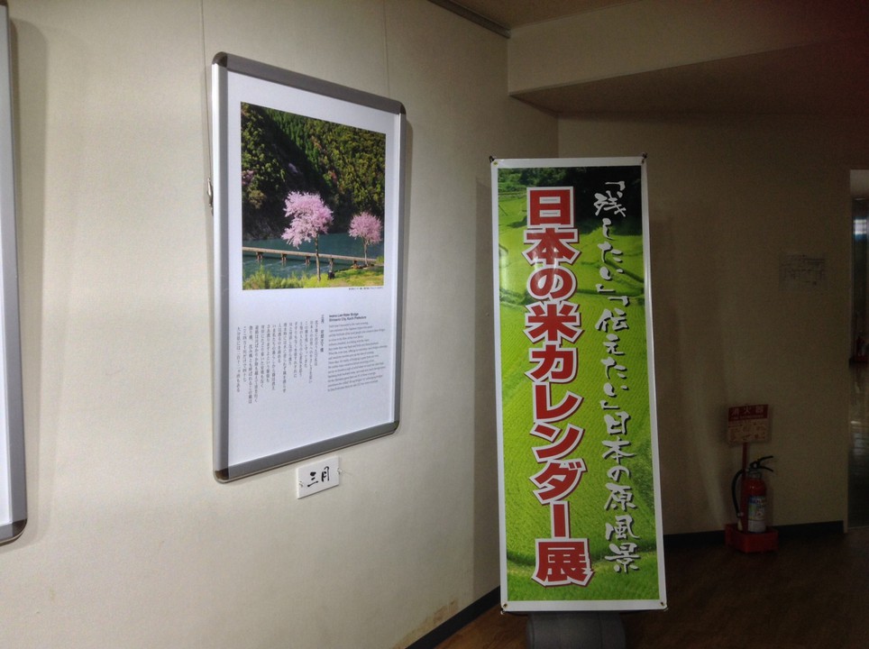 こちらの催事が目的でしたが