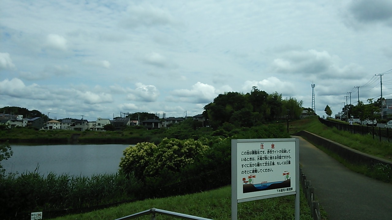 大きな池の周りは空気が涼しくなっていました