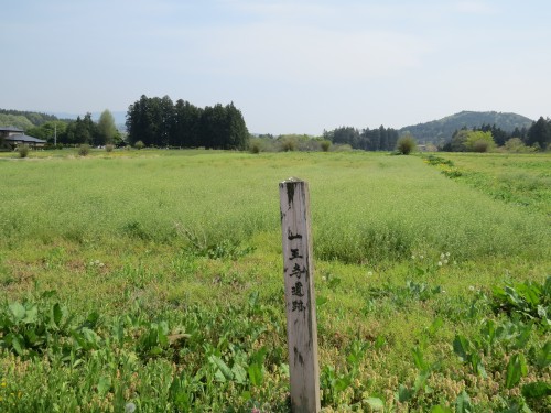 是川遺跡を構成する一王寺遺跡