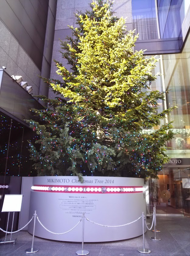 ２０１４年のツリー♪ただし昼間の写真です。
