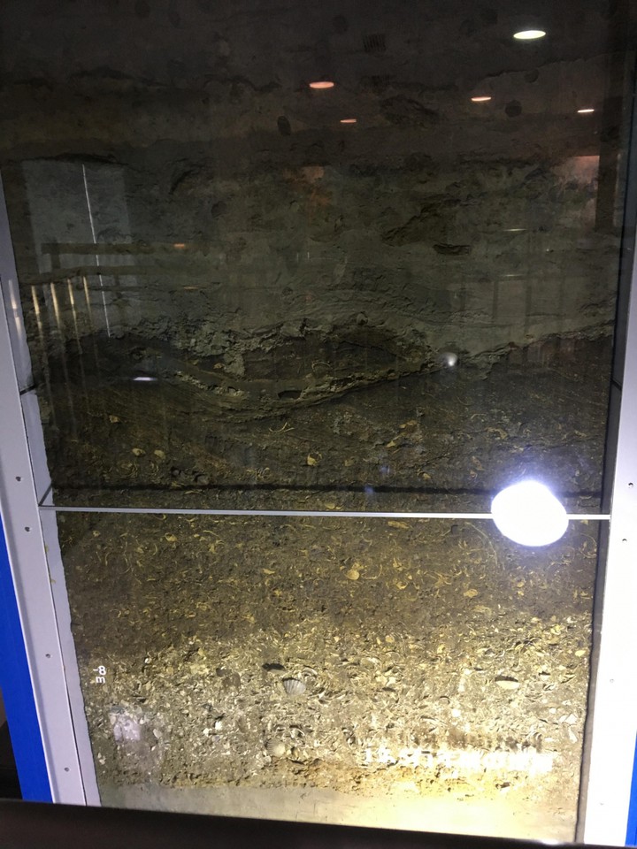 階段横にある地層の断面図