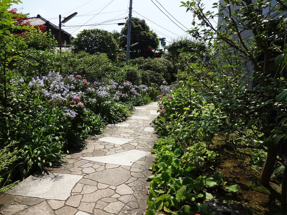 花がいつもあります