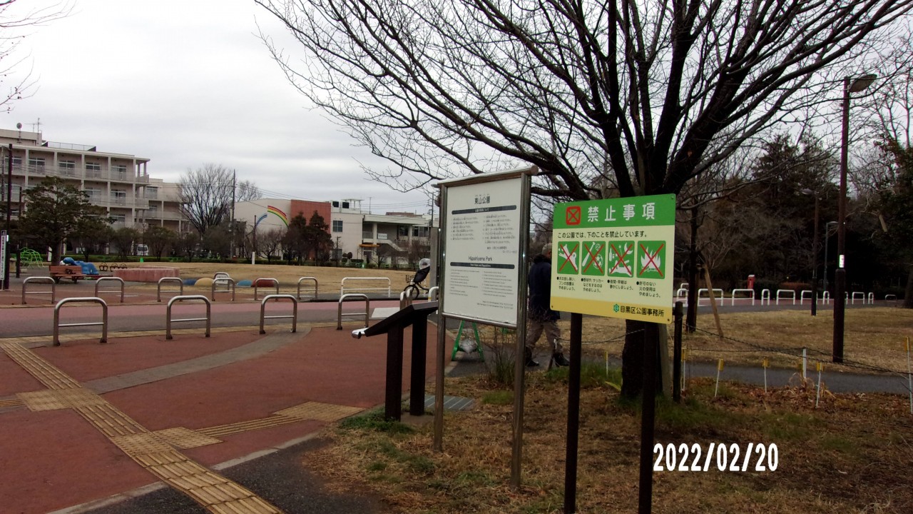 公園の様子です。