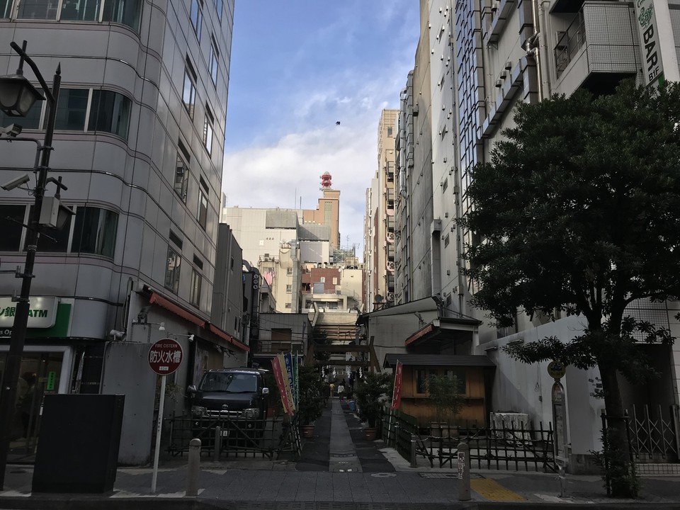 道路を挟んで見た神社