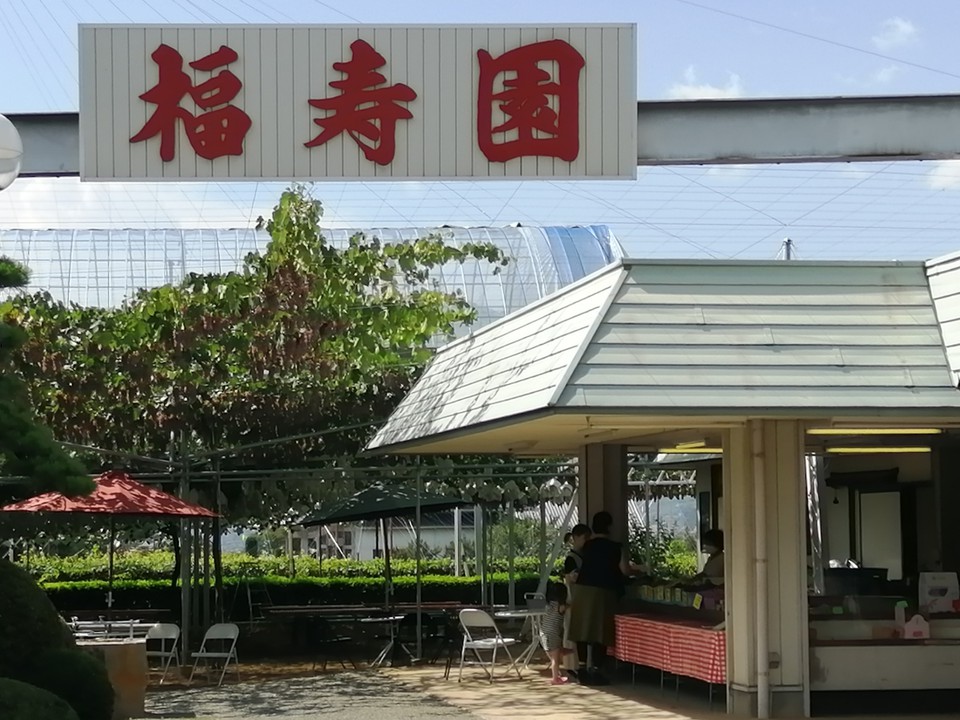 ぶどう園入口