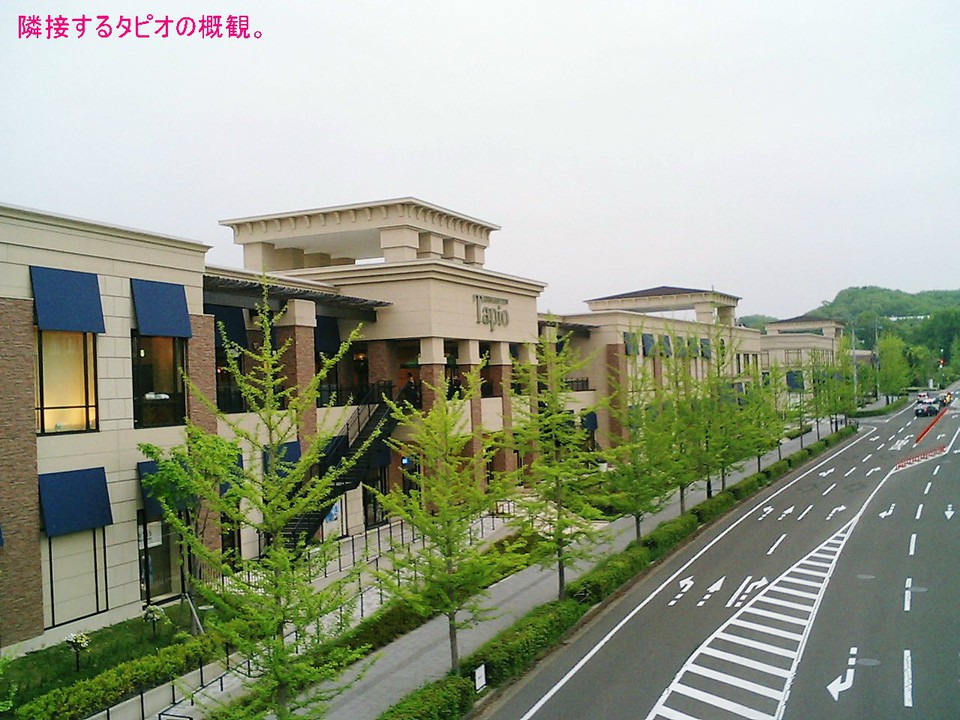 敷地や駐車場が広々としていました。