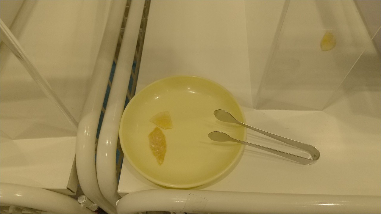 試食用のお皿