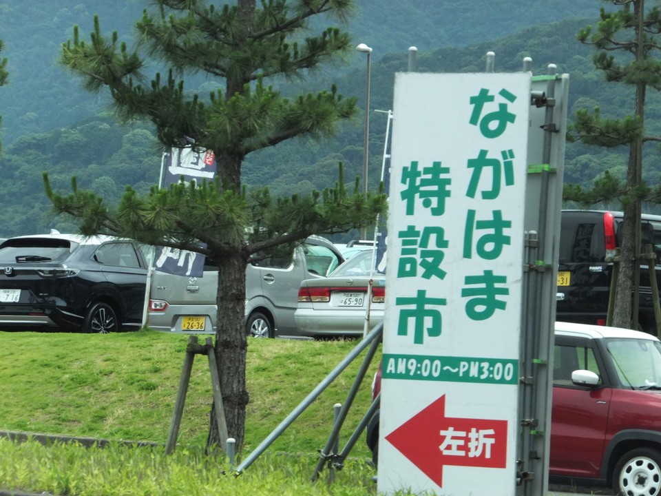 特設市