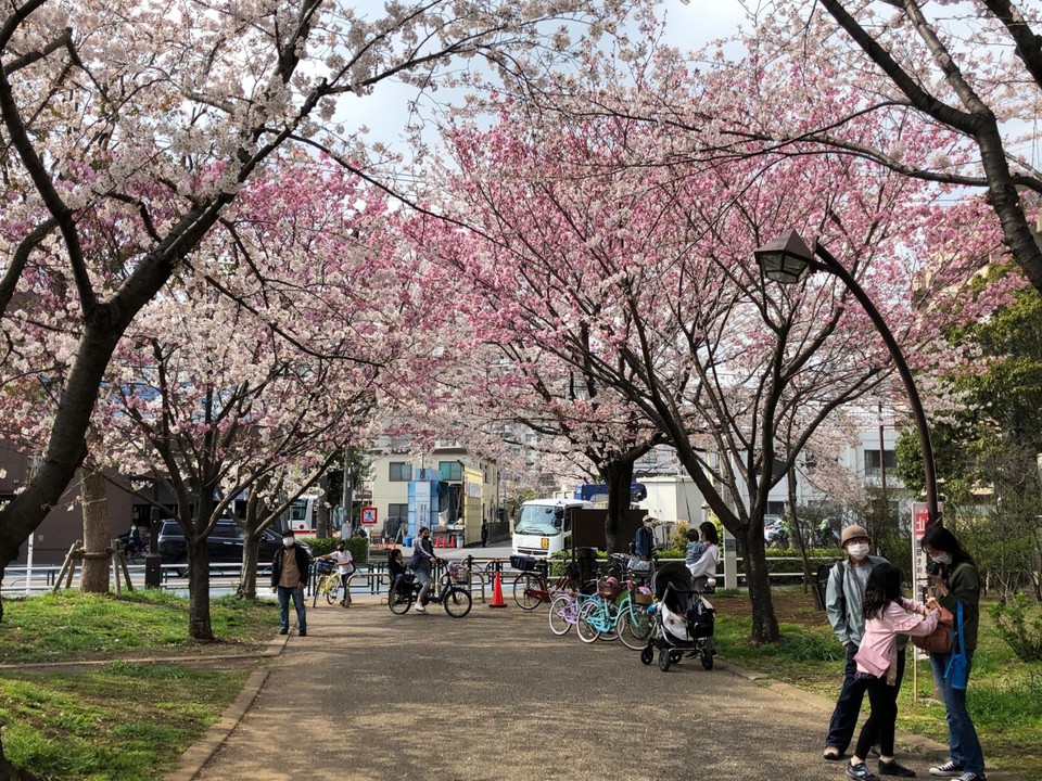空気までもピンクに見える。