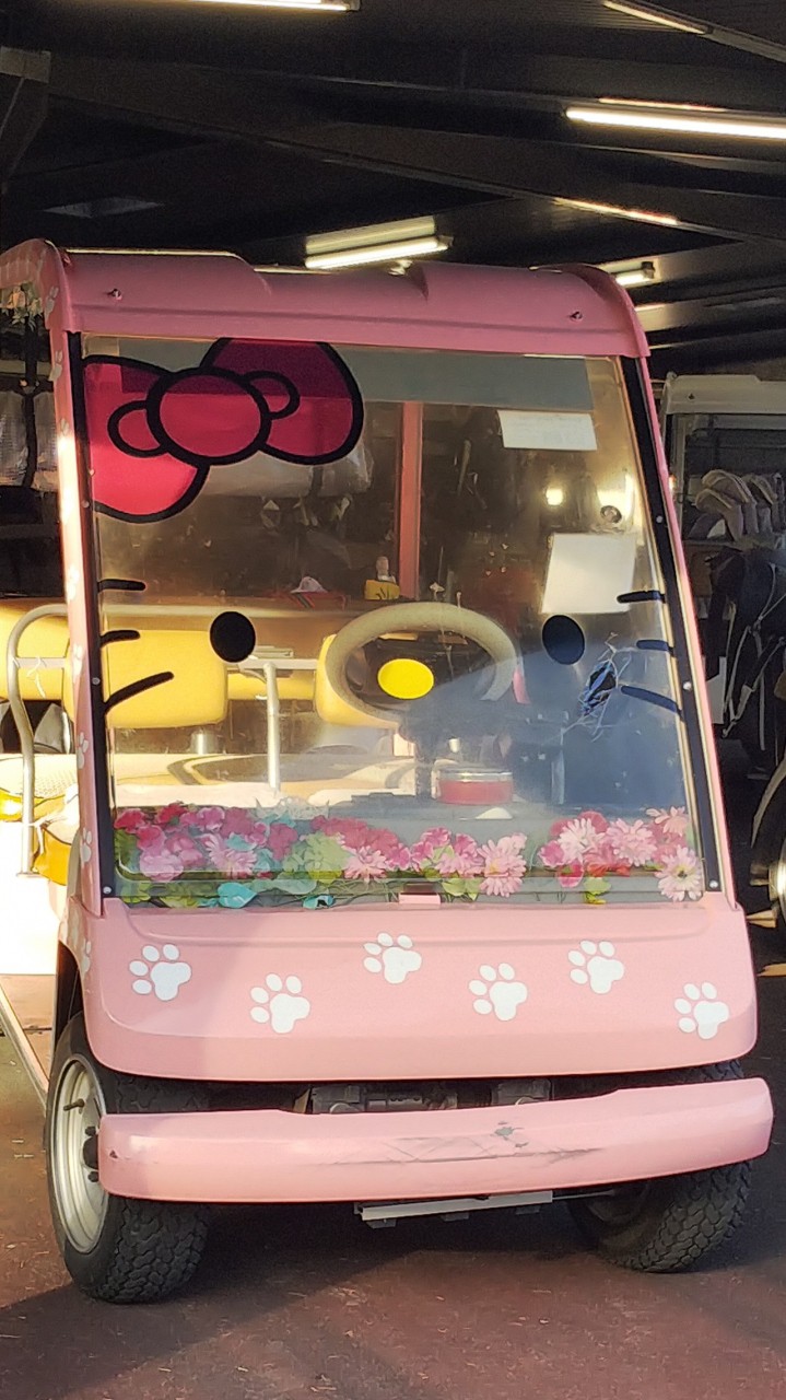 キティカート