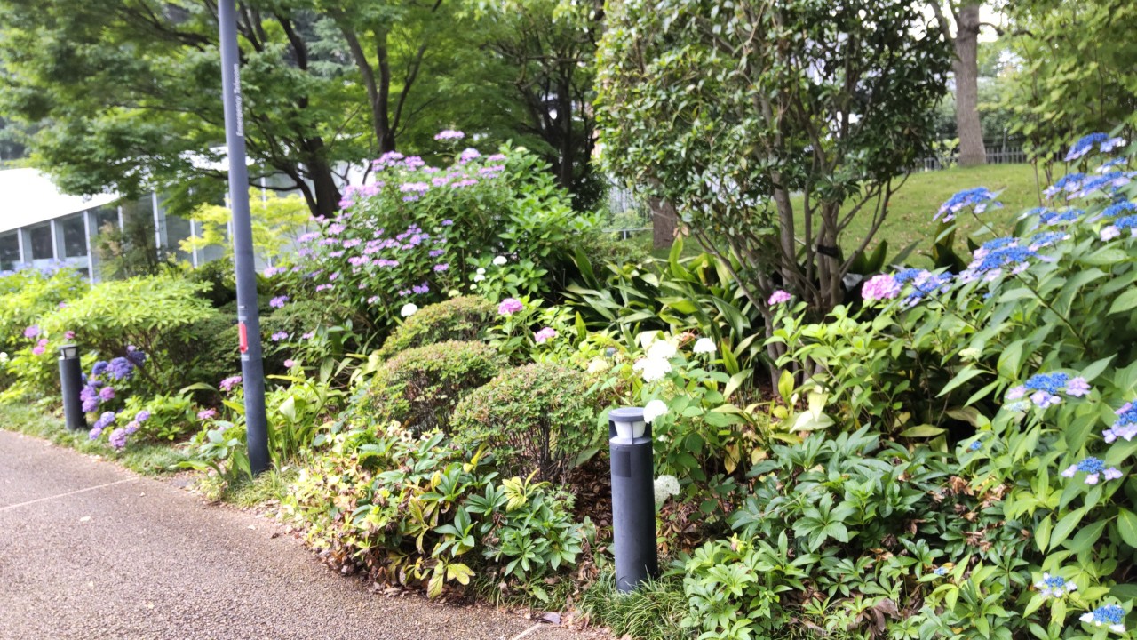  檜町公園 