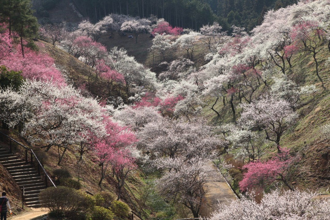 在りし日の風景