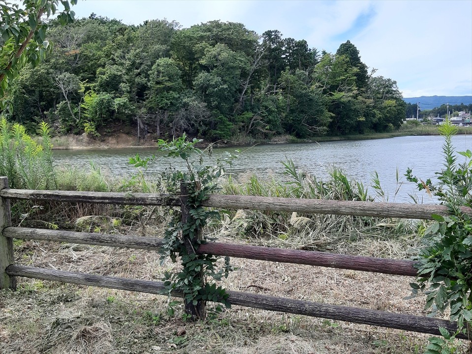 湿地に囲まれたこの公園はヒヌマイトトンボの生息地。