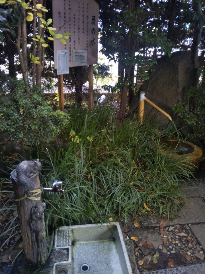 房の水