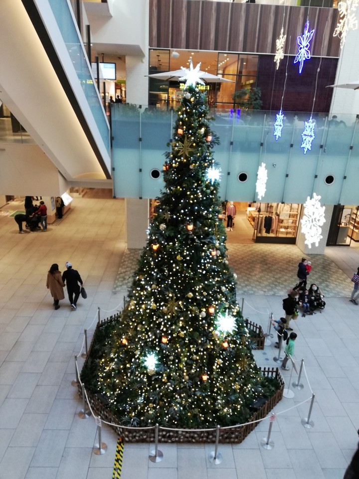 2020年クリスマスツリークリスマス&#127876;
