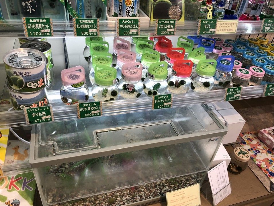まりももある