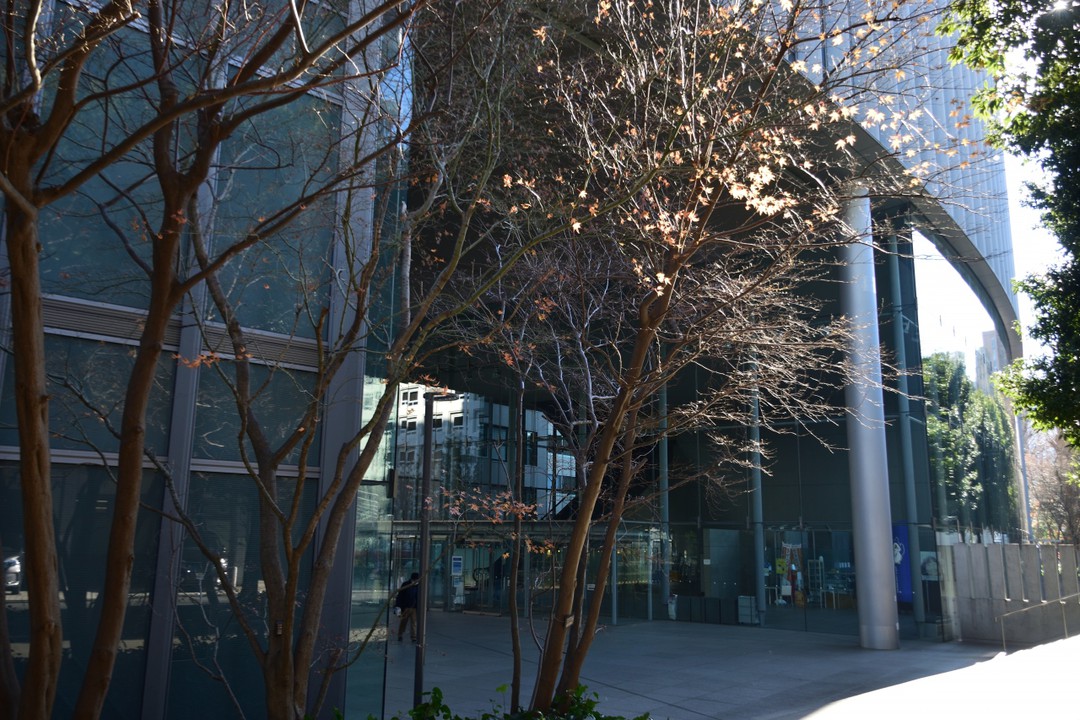 明治大学博物館のあるキャンパス