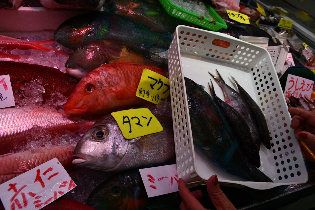 珍しい魚が並んでいます