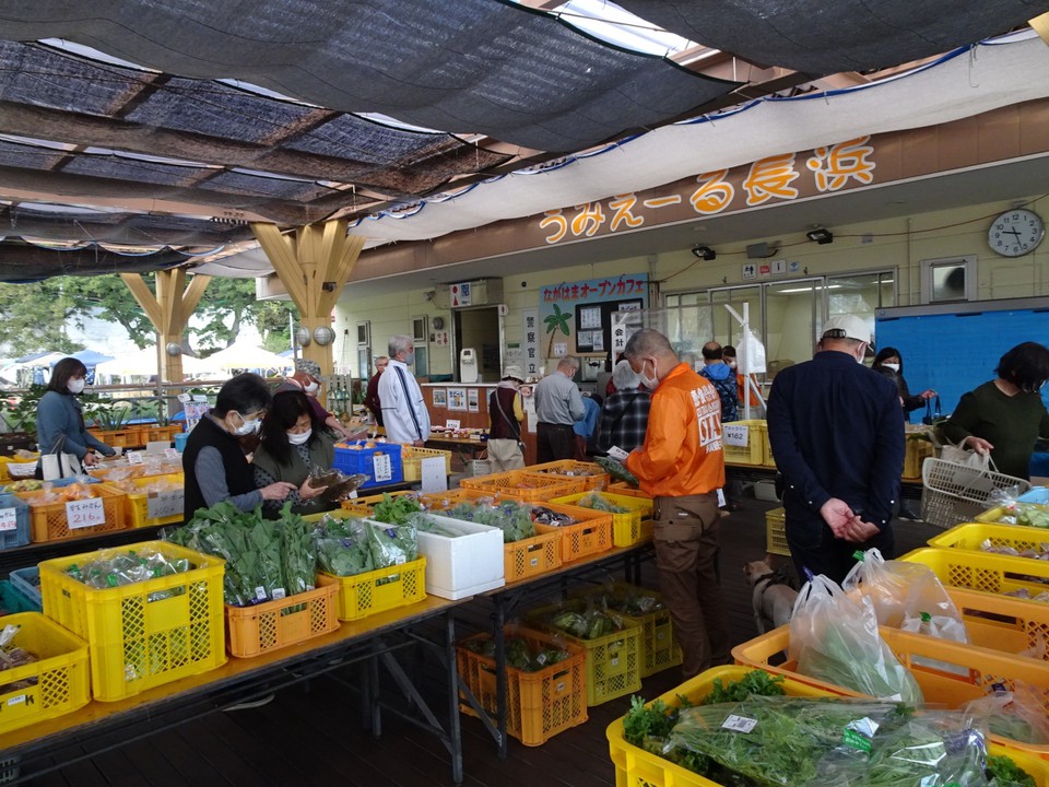 地元の野菜などが販売されていました。
