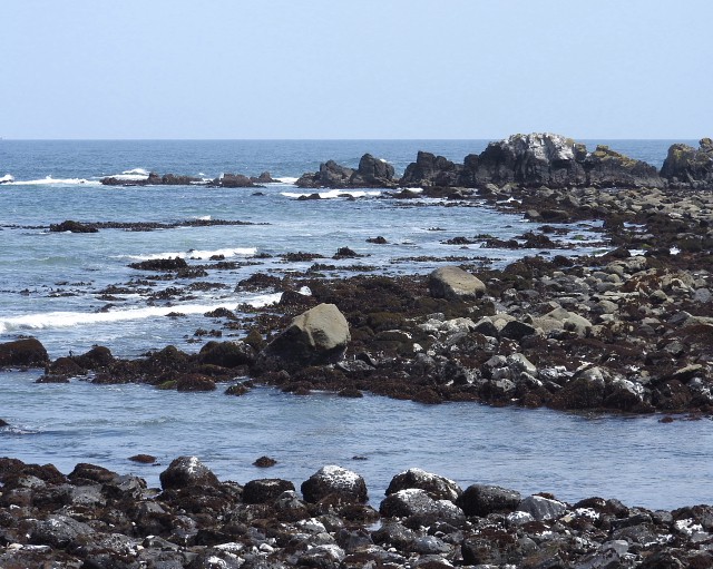 岩海苔が採れるんですね。 