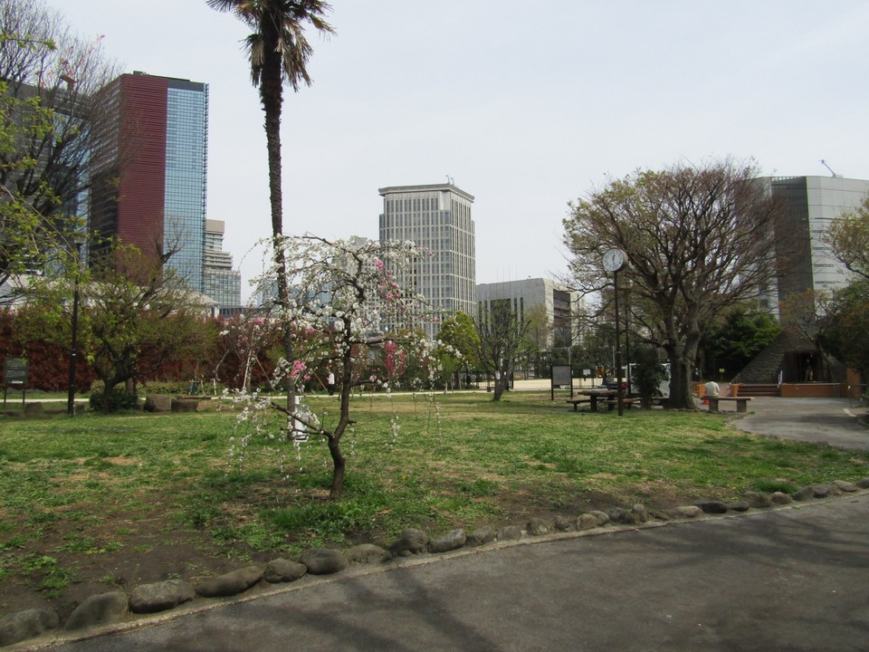 広々とした公園