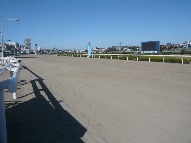 観覧席の東側には、競馬場の走路があります。広い走路です。