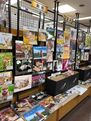 紀伊國屋書店 梅田本店の店内で、動物の写真が表紙のカレンダーが多数展示されています。棚には犬や猫などのカレンダーが並び、購入しやすいように整理されています