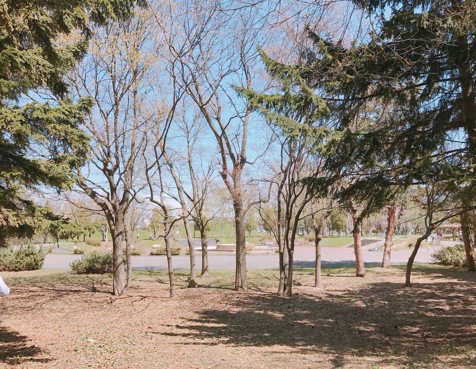 円形噴水の周りに屋根付きベンチがある。
