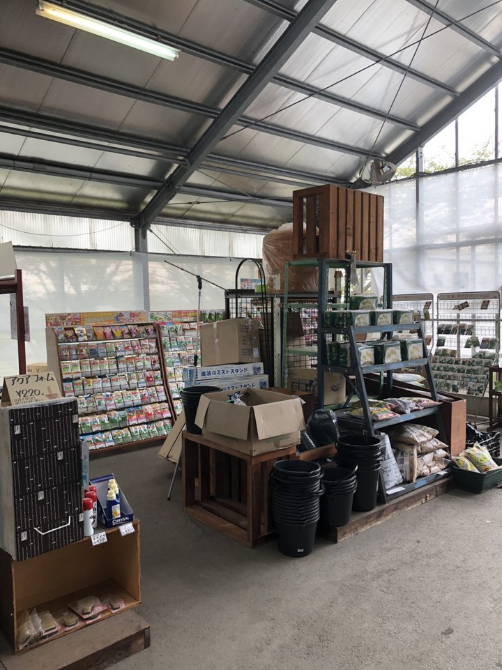 少なくなっていた。