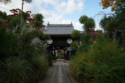 山門を入ってゆきます