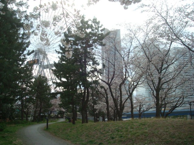 3月下旬の様子